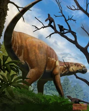 Illustration of Hypsibema walking & looking around