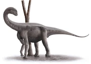 Life restoration of Jobaria