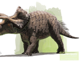 Triceratops