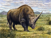 Art impression of Elasmotherium