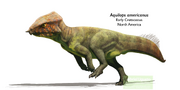 Reconstruction of Aquilops running