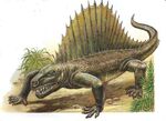 Dimetrodon BW