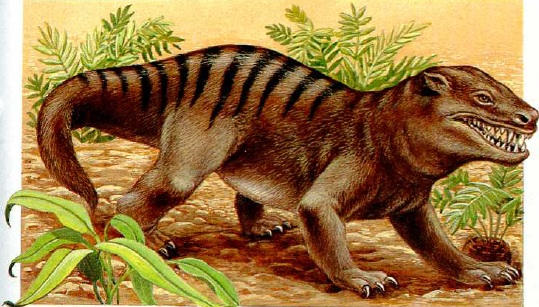 cynognathus fossil