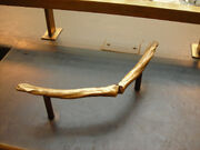 Bronze cast of the  of "Sue", 