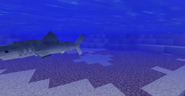 Megalodon | Fossils and Archeology Mod Revival Wiki | Fandom