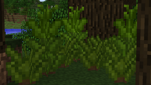 2015-06-07 06.36.55.png