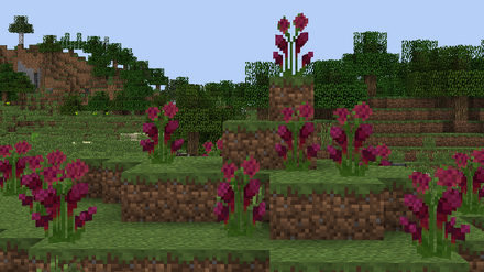 2015-06-07 06.42.32.png