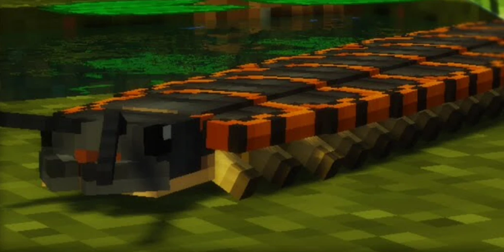 Arthopleura Fossils And Archeology Wiki Fandom