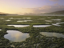 
'Seilebost Salt Marsh' by Ian Cameron 
