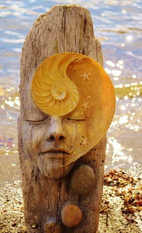 'Driftwood Spirit Sculptures' by Debra Bernier