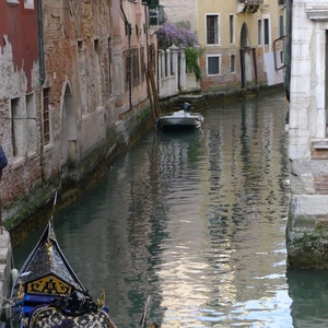 'Venice' by Alessa Rose