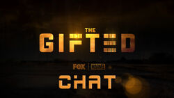 Chat.jpg