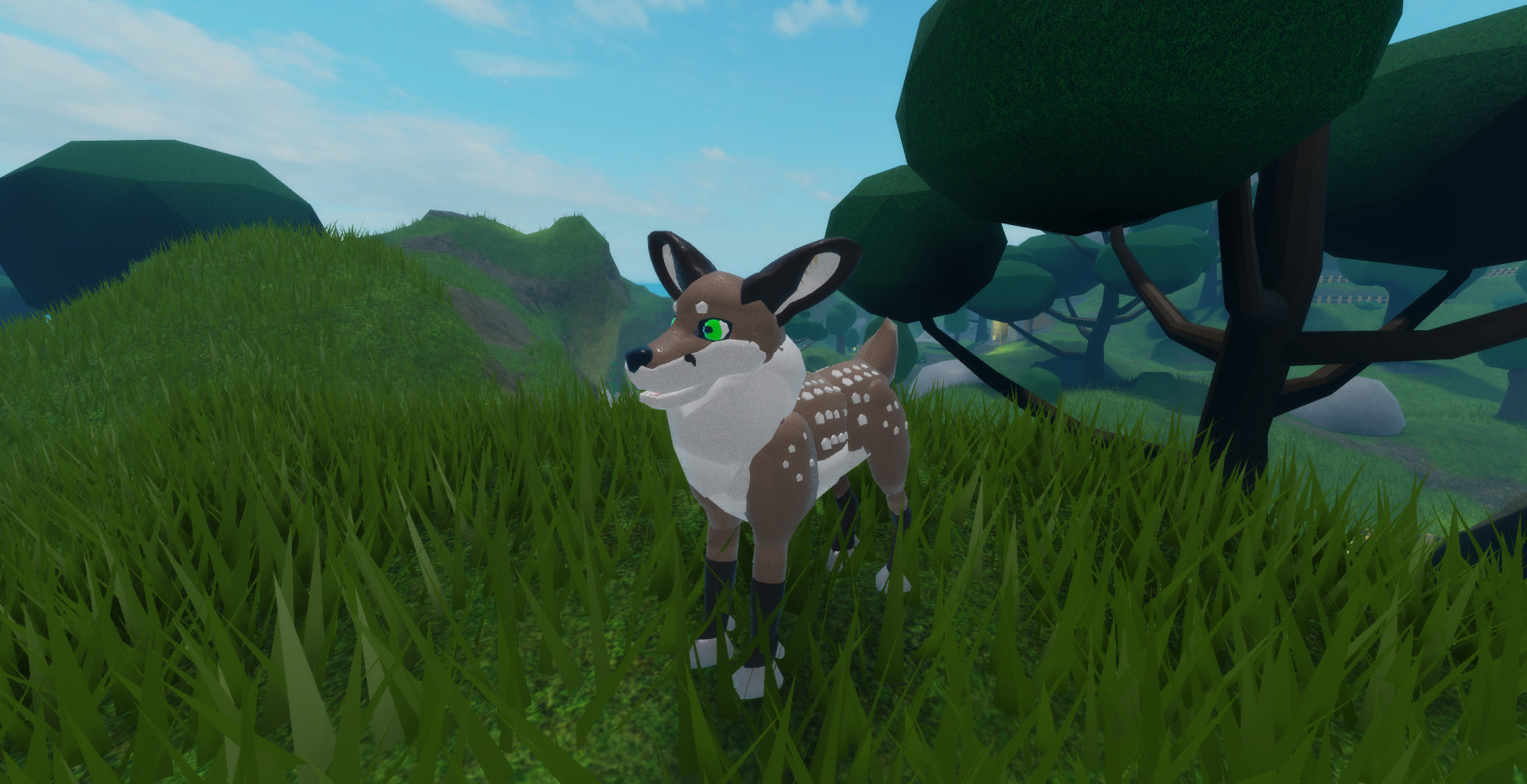 Doe Fox Foxkin Valley Wiki Fandom - fluffy fox roblox foxkin valley wiki fandom