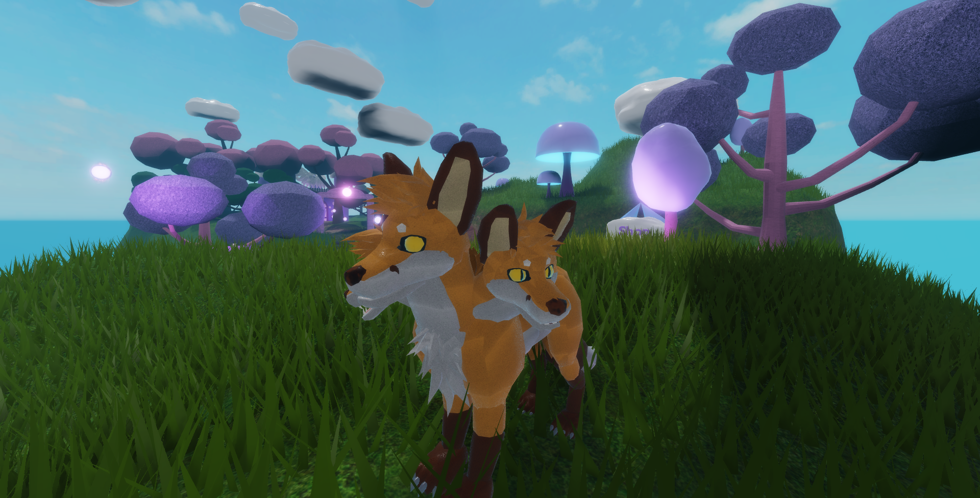 Category Foxes Foxkin Valley Wiki Fandom - fluffy fox roblox foxkin valley wiki fandom