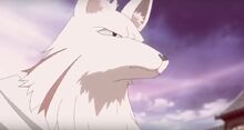 Silver Fox Guard