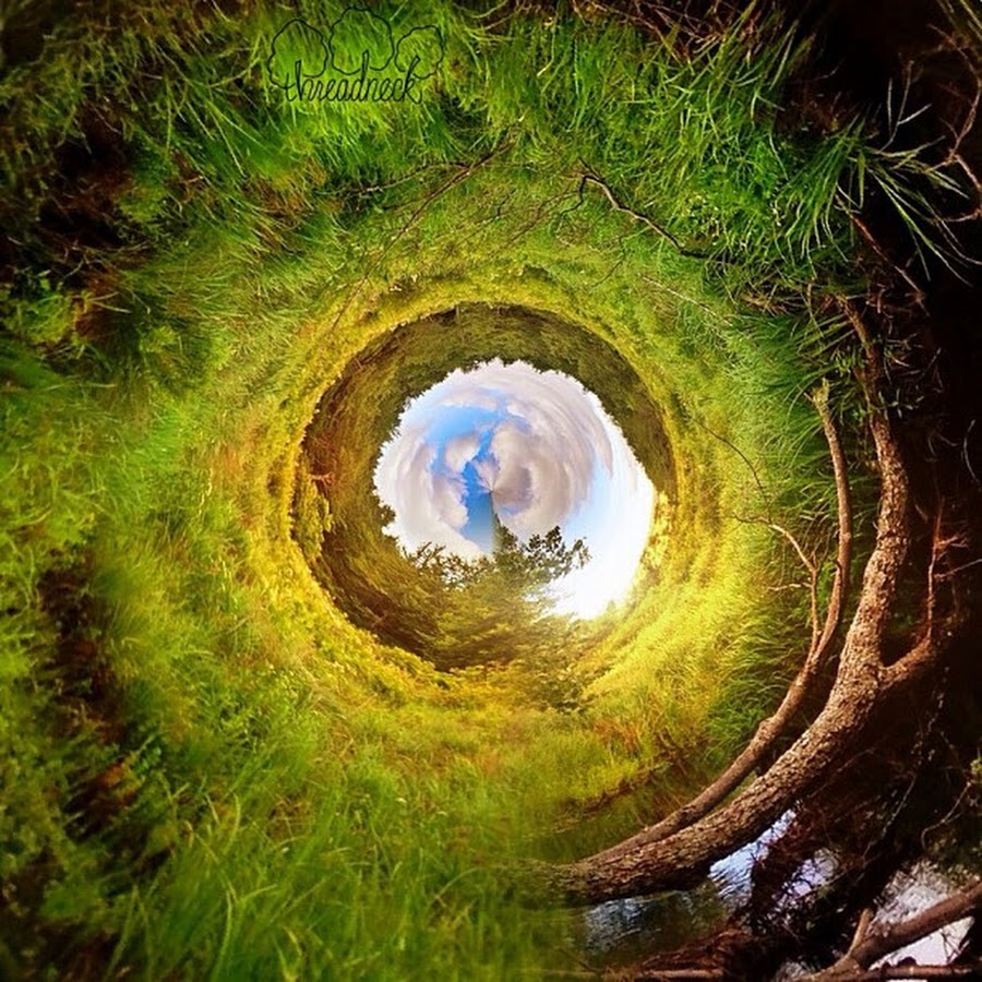 Into the rabbit hole