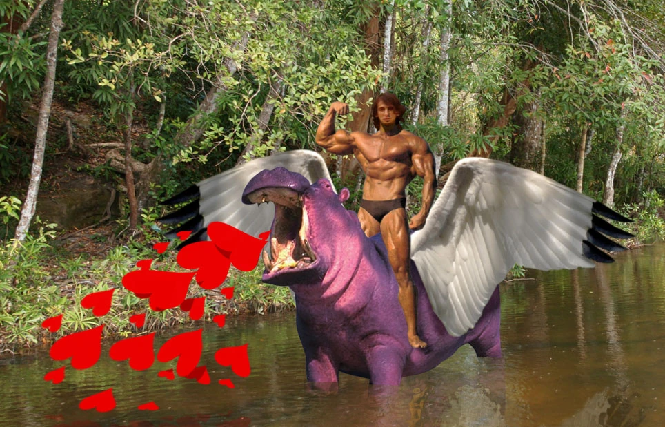 Flying Purple Hippo Flying Purple Hippos Wiki Fandom