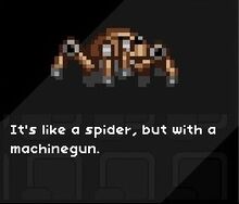 Spider.jpg
