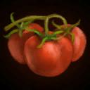 Icon Tomatoes