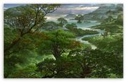 Fantasy jungle-t2.jpg