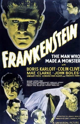 洋書 Frankenstein by James Whale 洋書 Frankenstein by James Whale James Whale's Frankenstein