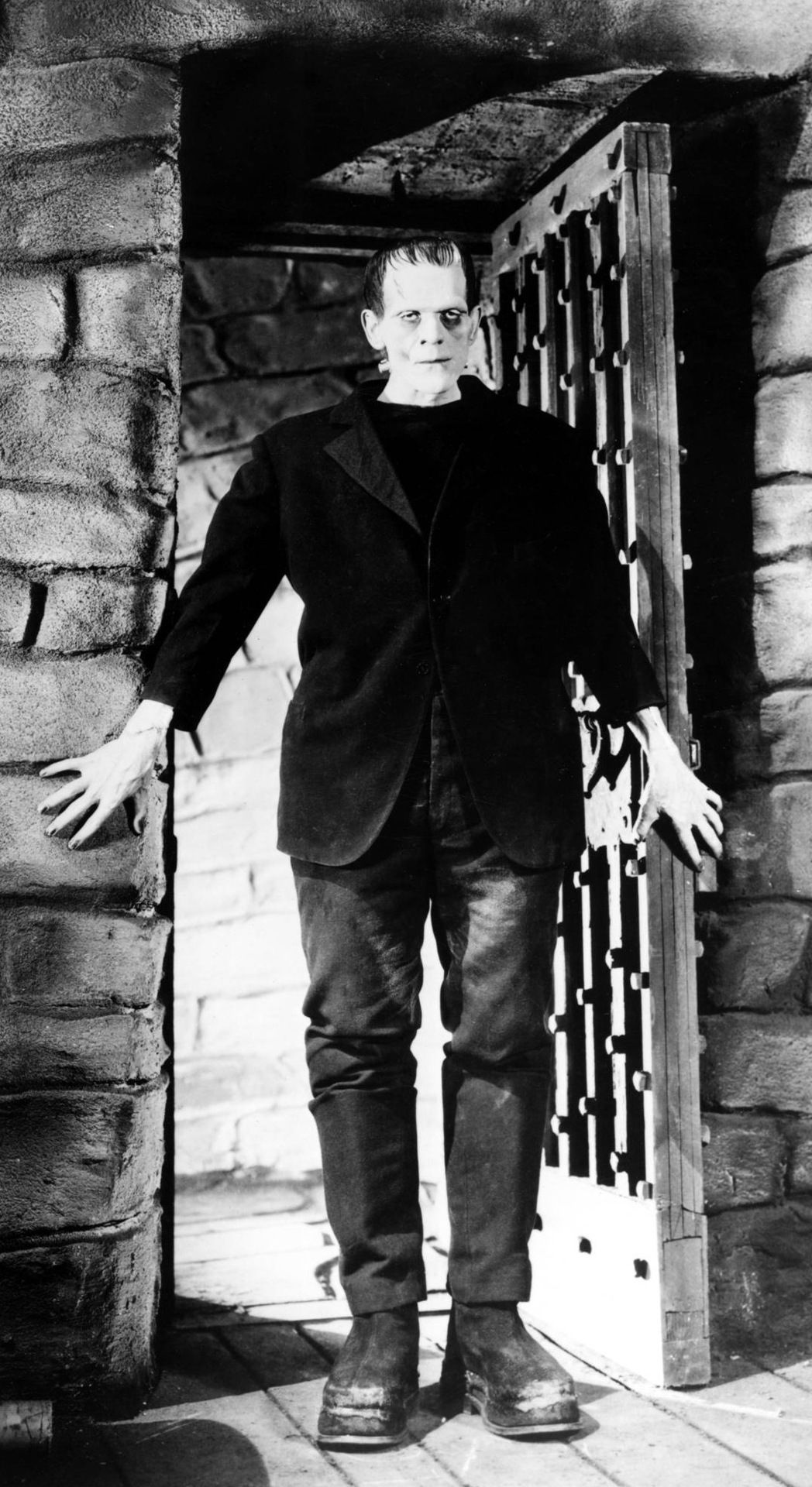 Frankenstein's Monster Frankenstein Wiki Fandom