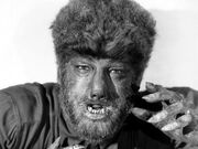 Talbotwolf