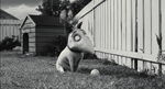 Frankenweenie-disneyscreencaps.com-303