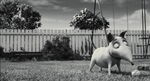 Frankenweenie-disneyscreencaps.com-280