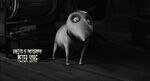 Frankenweenie-disneyscreencaps.com-113