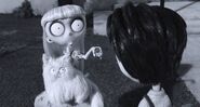 Frankenweenie-07