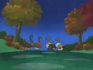 Departing geese