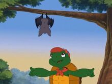 Bat