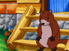 Marmot