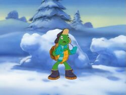 Franklin and Snow Turtles