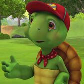 Franklin Turtle