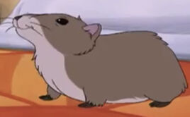 Henry the Hamster