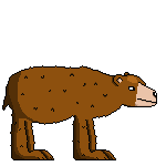 bear used in post box's moveset