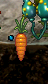 Carrote4.png