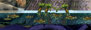 C3trout
