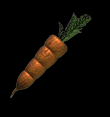 Carrote.png