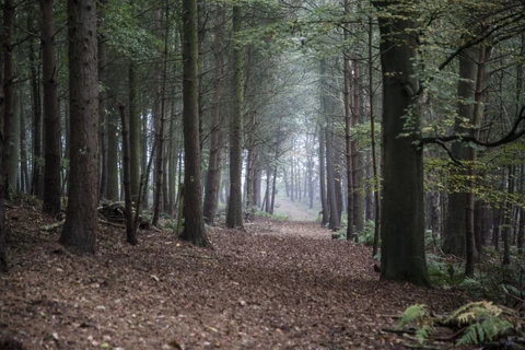 Freaky Attractions Wiki