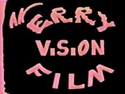 Erry Vision Flims