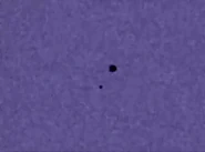 EasygoingSnivelingBirdofparadise-size restricted.gif (4.04 MB) A GIF of the Klasky Csupo robot logo. (1998-2008, 2012, 2021-)