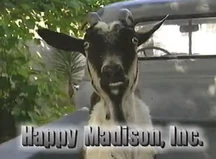 Happy Madison, Inc.