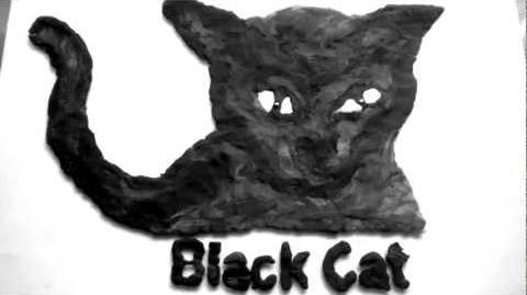 Black Cat Pictures