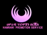 Hamrawi Promotion Service