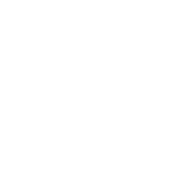 The logo print (White Variant)