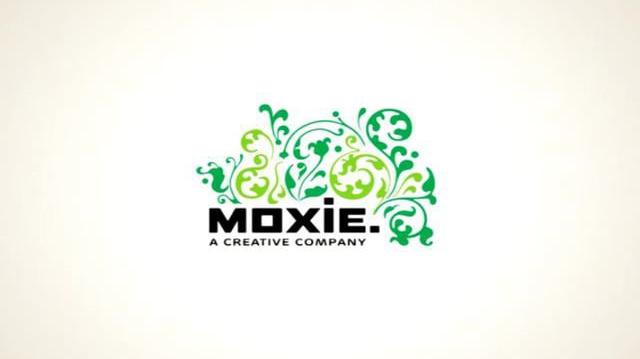 Moxie Turtle