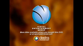 Visual Entertainment Group
